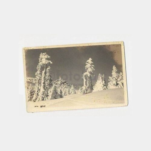 1938 Bursa Uludağ Damgalı Fotokart