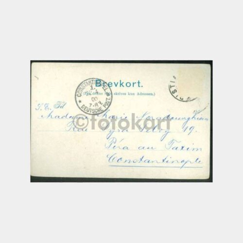 1900 Norveç Konulu - İstanbul Levant Damga Kart - Görsel 2