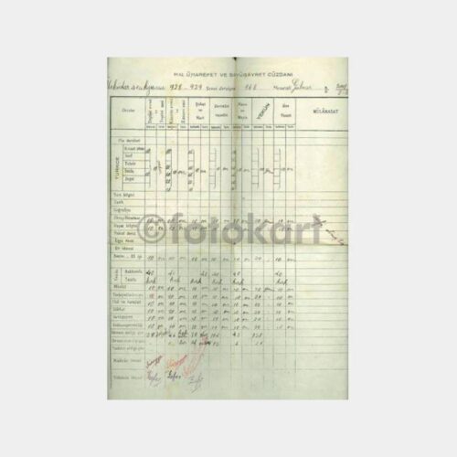 1928-1929 Beşiktaş 41. Kız Mektebi Karnesi