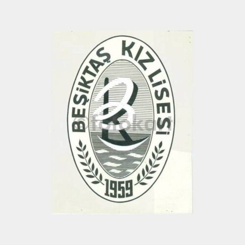 Beşiktaş Kız Lisesi Amblemi Karton Üzerine Çizim