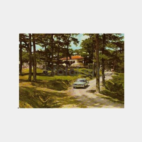 Kütahya Çamlıca Ormanı Kartpostal
