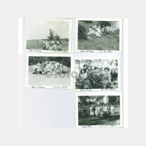 1953 Çamlıca Aile Albüm 13 Adet Fotoğraf - Görsel 2