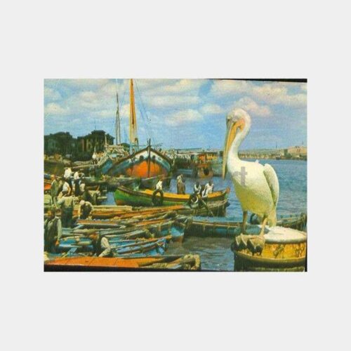 Eminönü Sandallar ve Maskot Pelikan Kartpostal