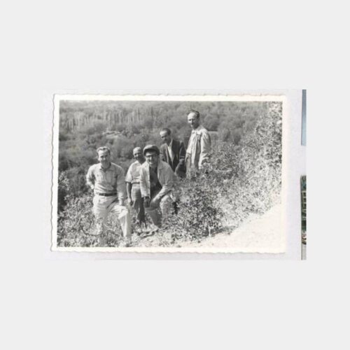 1960 Niksar Grup Konulu Fotoğraf