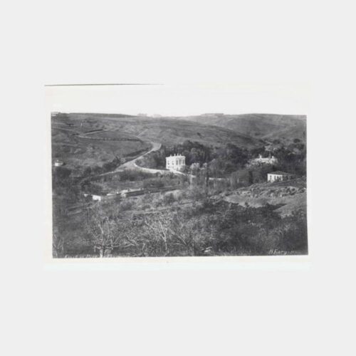Eski İstanbul Beşiktaş Ihlamur Reprodüksiyon Fotoğraf