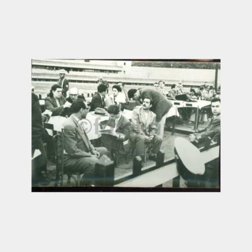 1956 İstanbul Güreş Şampiyonası Fotoğraf