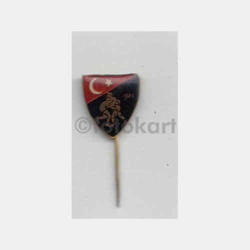 Türkiye Güreş Federasyonu Konulu Rozet
