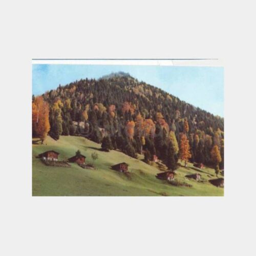 Rize Çamlıhemşin Yayla Evleri Kartpostal