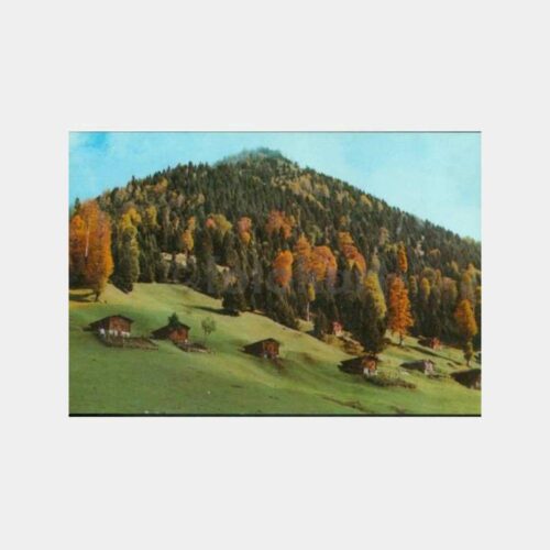 1965 Rize Çamlıhemşin Yayla Görünüş Kartpostal