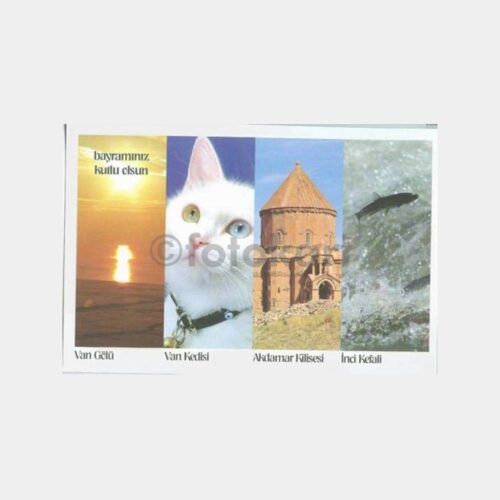 Van Konulu 4 Görünüş Kartpostal