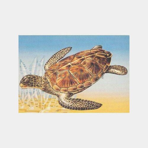 Deniz Kaplumbağası PTT Kartpostal
