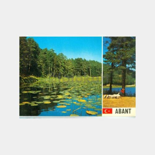 1970 Bolu Abant Görünüşler Kartpostal