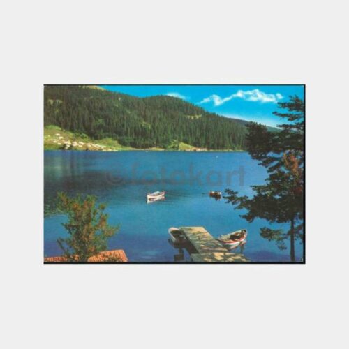 1975 Bolu Abant Gölü Görünüş Kartpostal