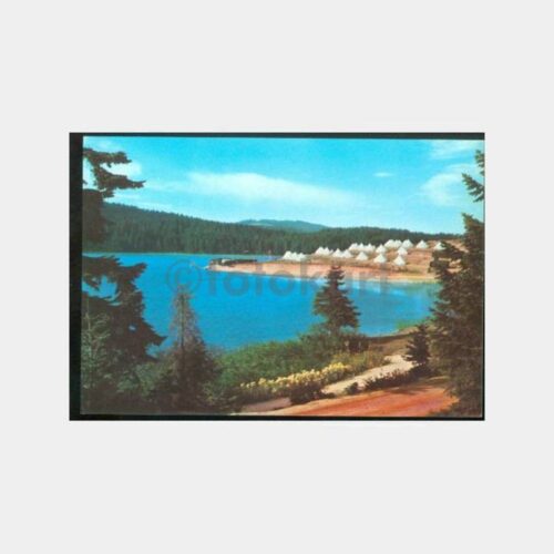 1966 Bolu Abant Kampı Görünüş Kartpostal