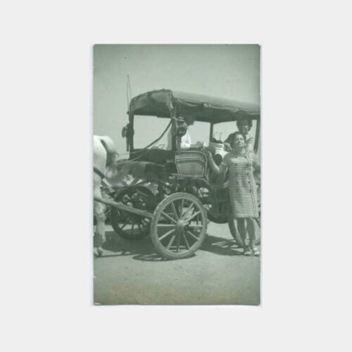1970 Edremit Faytonda Kadın Fotoğraf