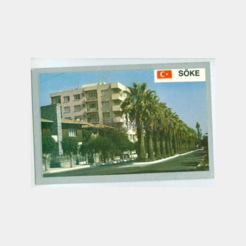 1970 Söke - Palmiyeli Caddesi Görünüş Kartpostal