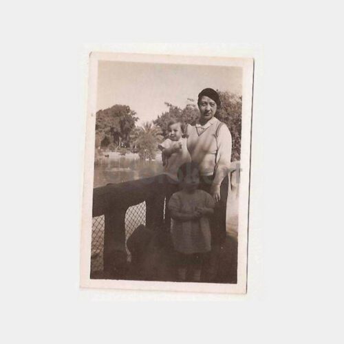 1932 Suriye Halep Houzha Bahçesi Konulu Fotoğraf