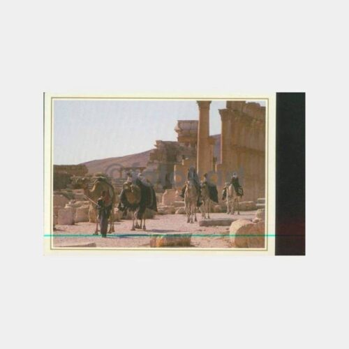 1980 Suriye Palmyra Antik Şehir Kartpostal