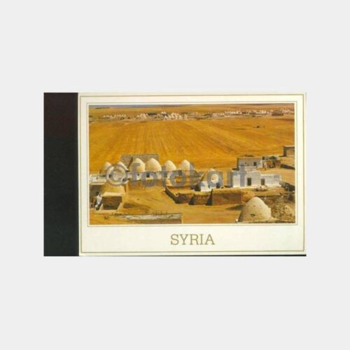 1980 Suriye Halep Kubbeli Evleri Kartpostal