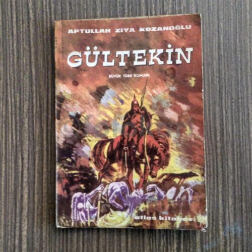 Gültekin - Aptullah Ziya Kozanoğlu, Tarihi Roman
