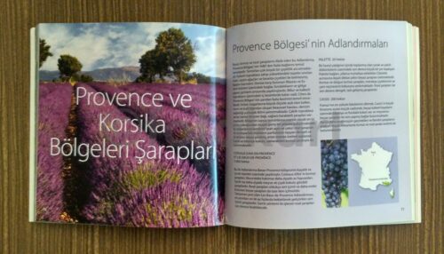 Santé - Fransa'nın Şarapları Prestij Katalog - Görsel 2