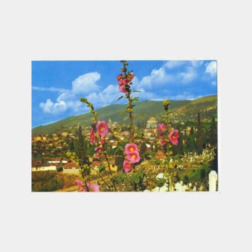 Bursa Yeşil Türbe Görünüş Kartpostal
