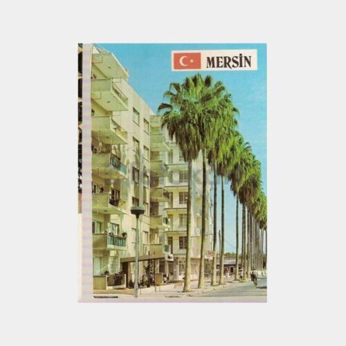 Mersinde Palmiye Ağaçları Kartpostal