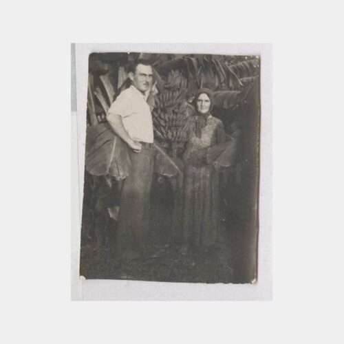 1936 Mersin Muz Bahçesi Görünüş Fotoğraf