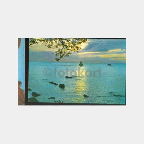 1968 Fenerbahçe Sahili Yelken Görünüş Kartpostal