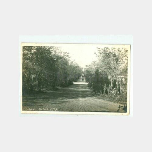 1940 Ankara Atatürk Çiftliği Görünüş Kartpostal