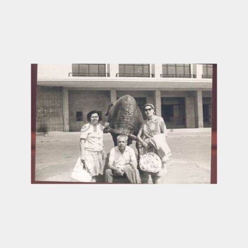Boğa Heykeli Spor Sergi Önünde Fotoğraf