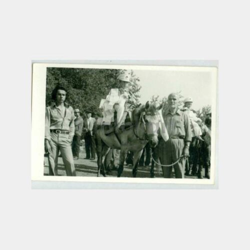 1967 At Üzerinde Sünnet Çocuk Konulu Fotoğraf