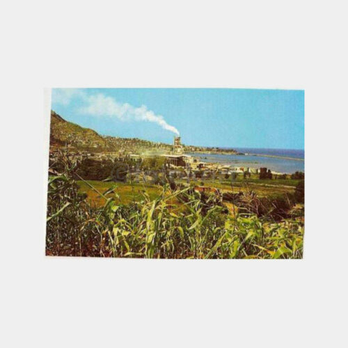 Trabzon Şehirden Görünüş Kartpostal