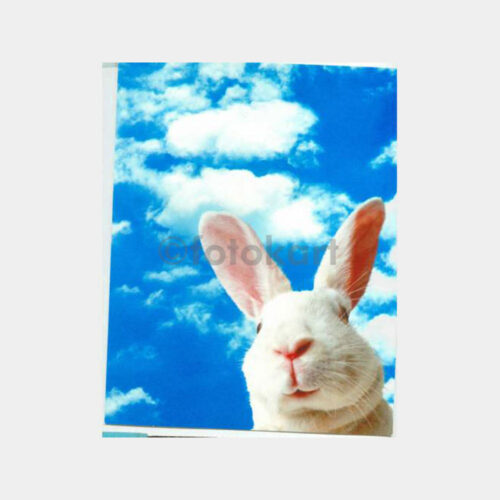Av ve Avcılık - Tavşan Konulu 3 Adet Kartpostal - Görsel 2
