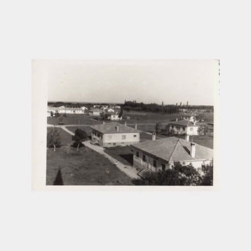 1950 Konya Harası Görünüş Fotoğraf