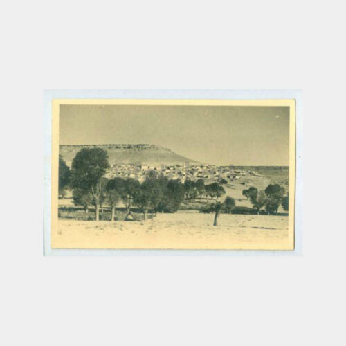 1930 Anadolu -Foto Mardin ?- Şehir Genel Görünüş Kartpostal