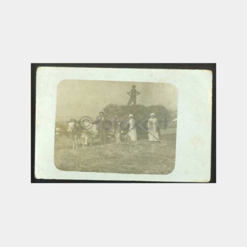 1930 Anadolu Çiftlik Hayatı Konulu Fotoğraf