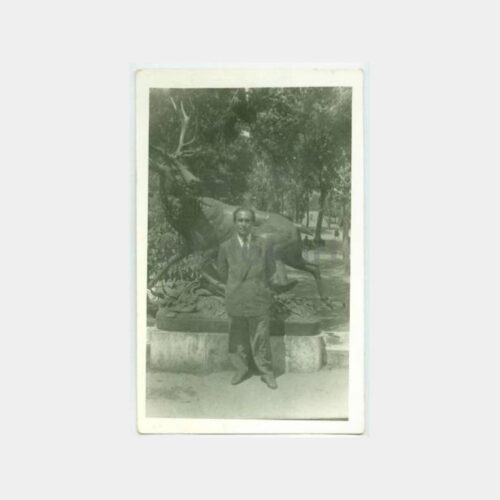1940 Gezi Parkı Geyik Heykeli Bay Görünüş Fotoğraf