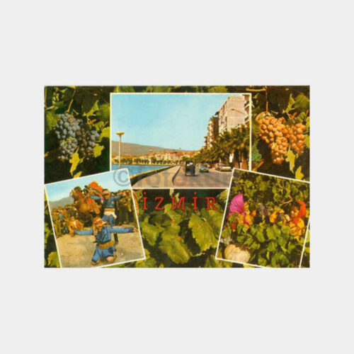 1966 İzmir Üzümleri Konulu Kartpostal