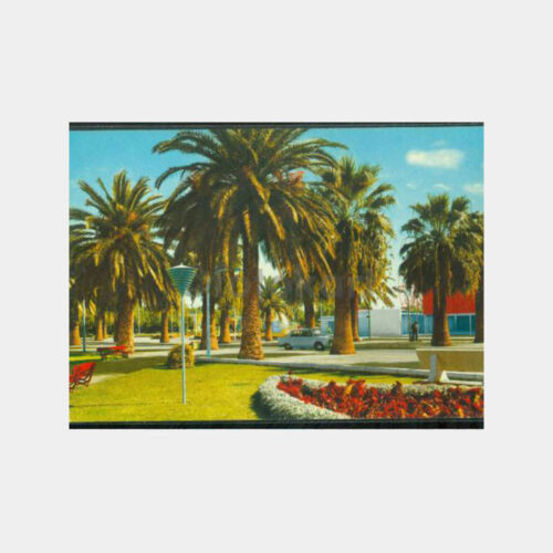 1975 İzmir Fuarı - Palmiyeler Görünüş Kartpostal