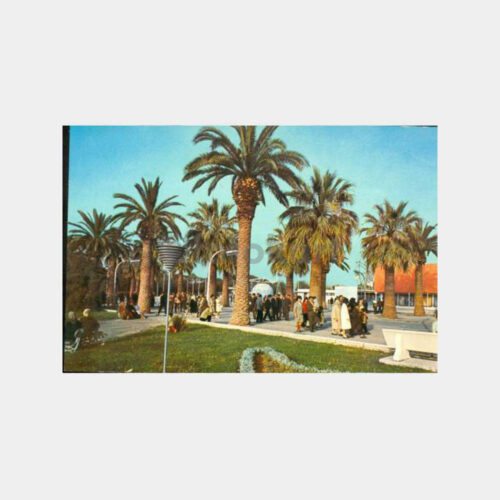 1966 İzmir Fuarı Palmiyeler Kartpostal