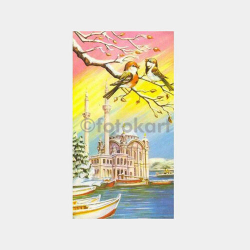 Ortaköy Camii ve Kuşlar İllüstrasyon Kart