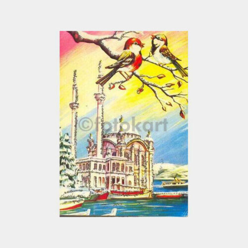 Ortaköy Camii ve Kuşlar İllüstrasyon Kart