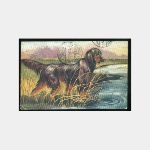 1925 Av ve Avcılık Damgalı Tebrik Kartpostal