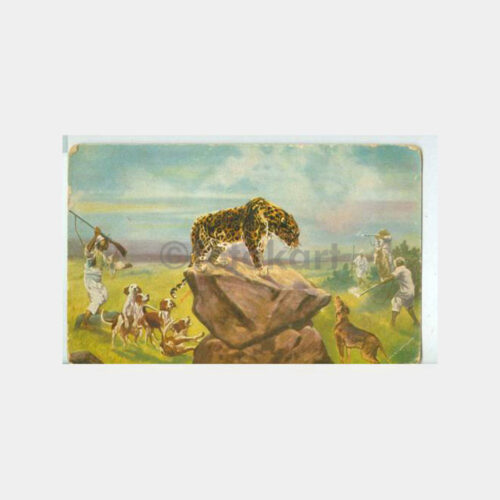 1930 Av ve Avcılık -Kaplan Avı- Kartpostal