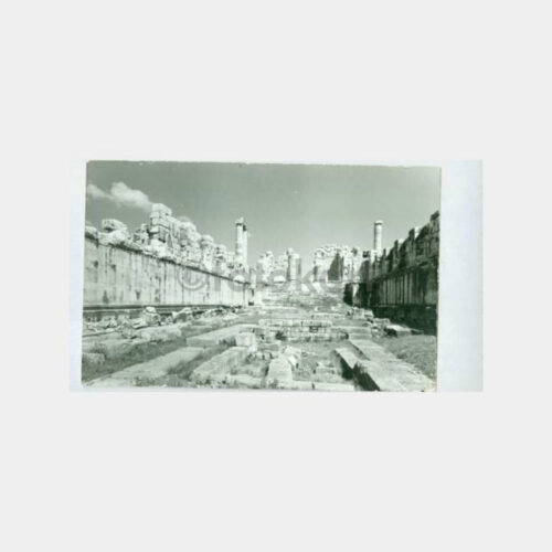 1950 Didim Apollon Mabedi Görünüş Kartpostal