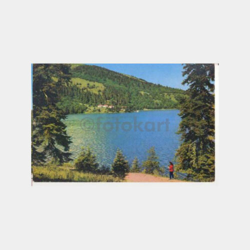 Abant Görünüş -Doğan Kardeş- Kartpostal