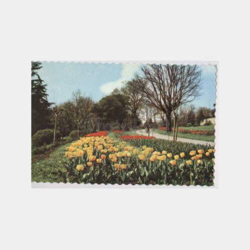 Emirgan Parkı Sarı Köşk Görünüş Kartpostal