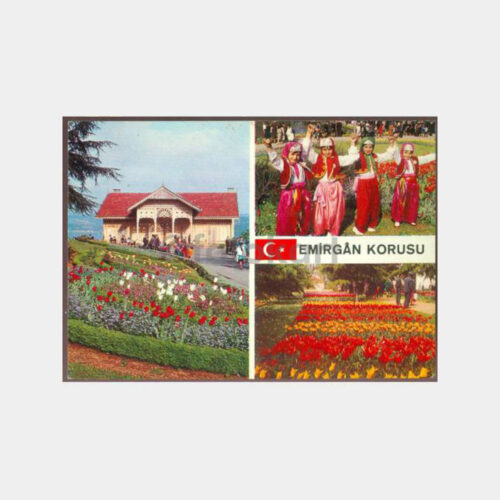 1970 Emirgan Korusu Görünüş Kartpostal