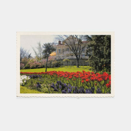 1999 Emirgan Parkı - Laleler Konulu Kartpostal